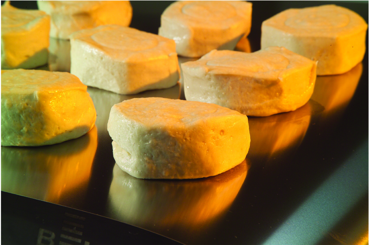 Design Considerations Checklist for Metal Conveyor Belt Systems in Food Processing